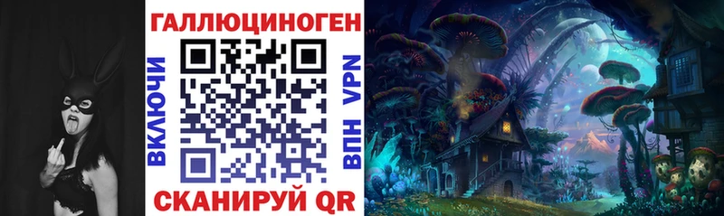 Псилоцибиновые грибы Psilocybe  Вышний Волочёк 